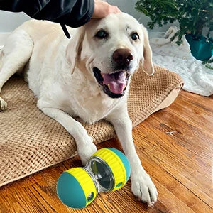Interactive Dog Puzzle Feeder – Slow Eating & Anti-Anxiety Toy