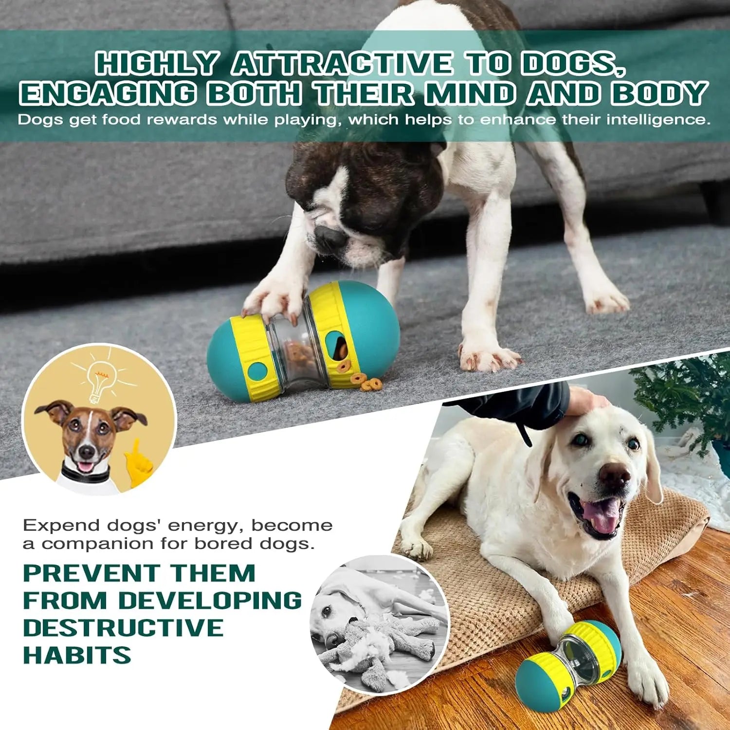 Interactive Dog Puzzle Feeder – Slow Eating & Anti-Anxiety Toy